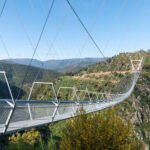 516 Arouca