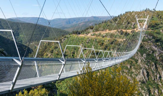 516 Arouca