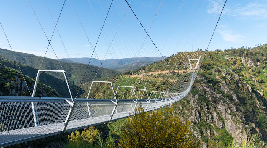 516 Arouca