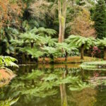 Terra Nostra Park