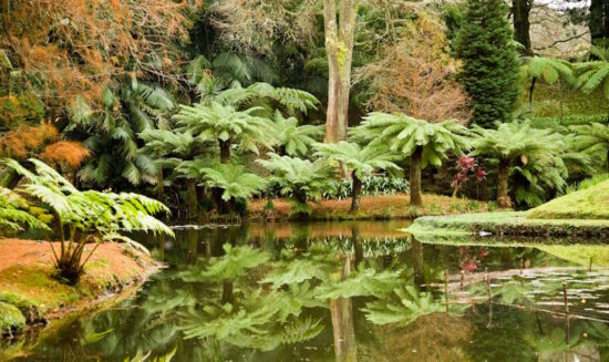 Terra Nostra Park – einzigartiges botanisches Paradies auf den Azoren